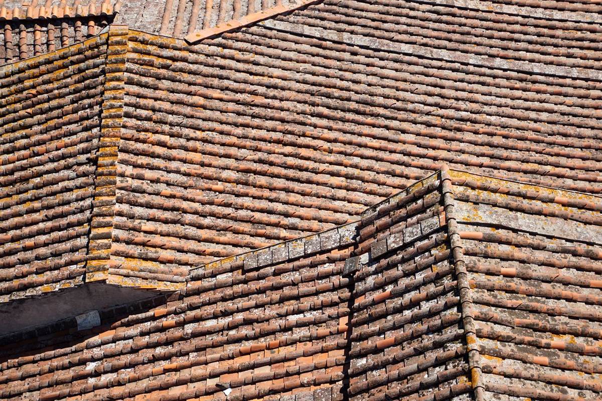 Vue rapprochée de toitures en tuiles canal patinées, couvertes de lichen jaune et de dépôts noirs